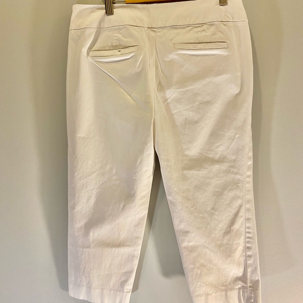 Ann Taylor LOFT petites